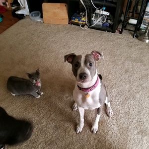 Meet your Posher, Dori